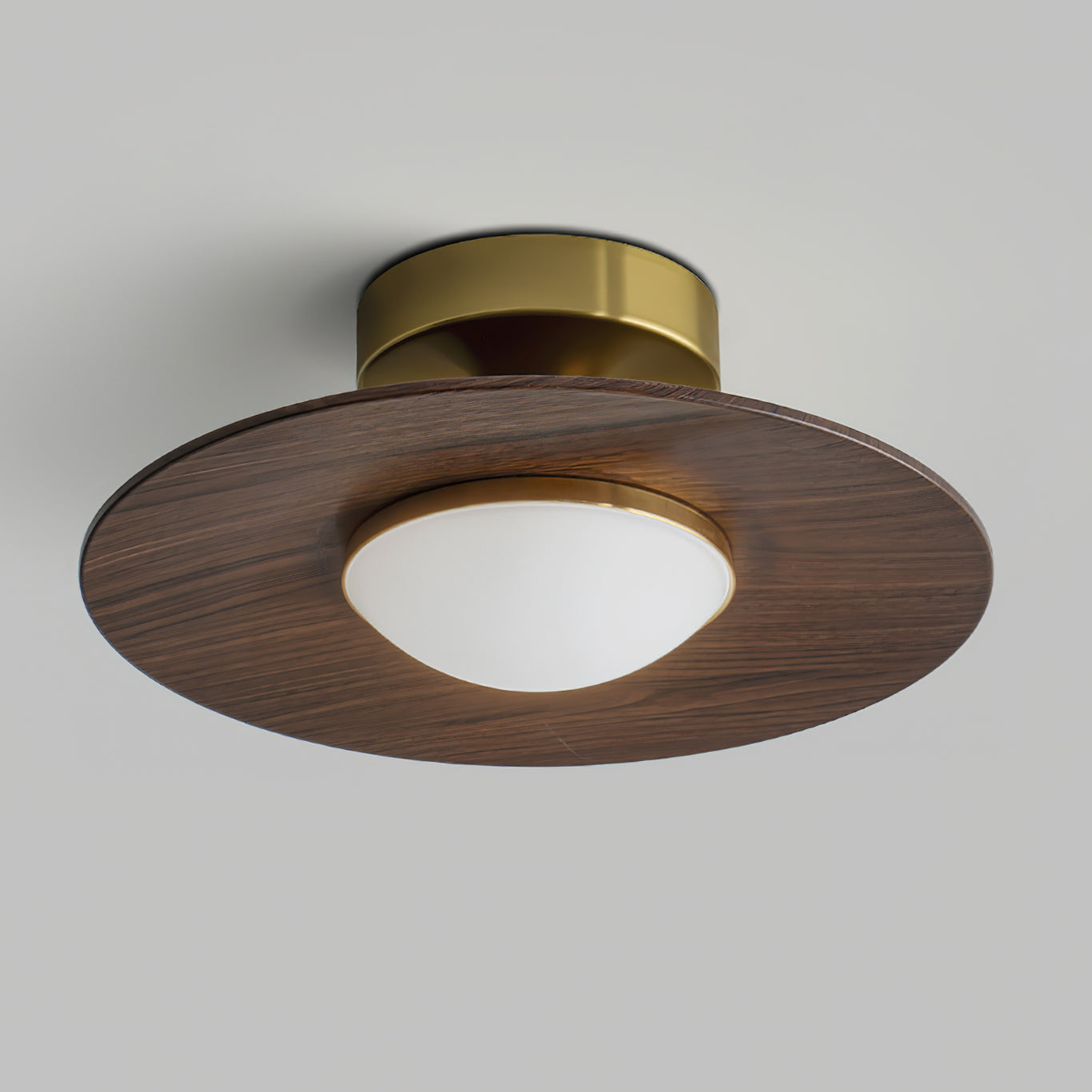 Contemporary Ceiling Lamp with Metal Frame and Wood Accent – 24cm Diameter LED Light 8