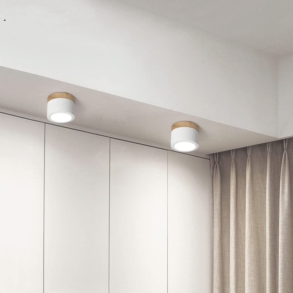 Modern Cylinder Flush Mount Ceiling Light – Compact LED Ceiling Light Fixture for Hallway and Living Room 3