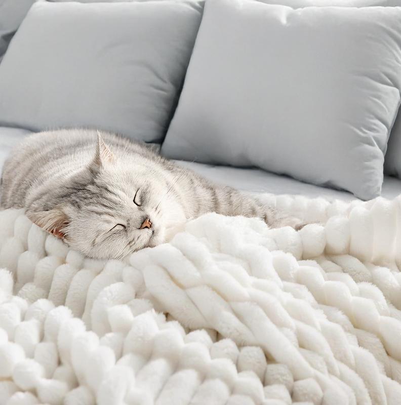 Ultra-Soft Plush Blanket, Cozy Throw for Ultimate Comfort, 50 x 60 Inches, Lightweight, Machine Washable, Multiple Colors Available