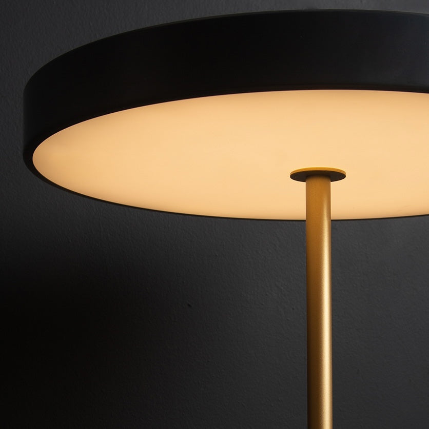 Elegant Dimmable Golden Accent Lamp – Wireless, Adjustable Brightness for Timeless Home Decor 5