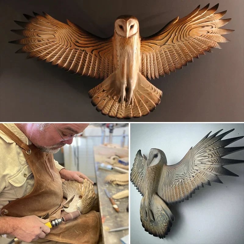 Owl Wall Art Animal Accent Decoration
