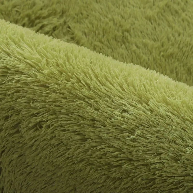 Plush Carpet with Non-Slip Backing and Modern Wilton Style
